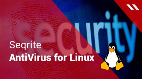 Key Measures to Safeguard Your Linux Environment against Harmful Software