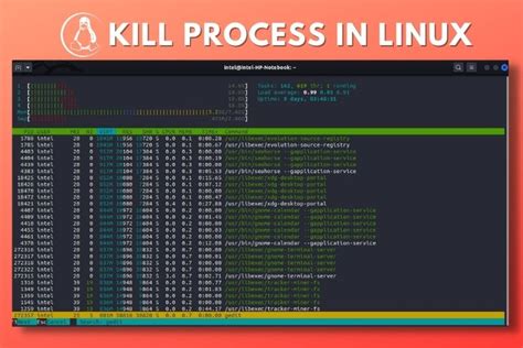 Killing and Terminating Processes in the Linux Environment