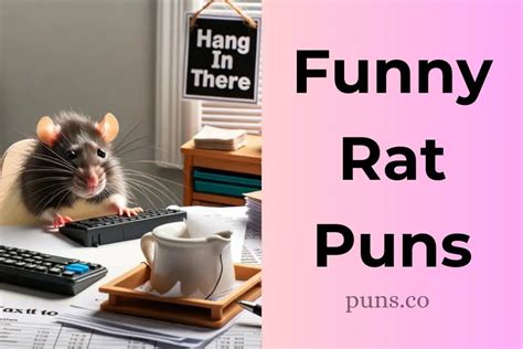 Laugh-Out-Loud Rodent Puns That Will Leave Ladies in Stitches