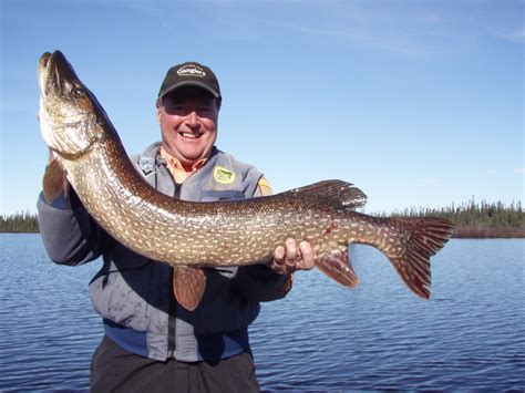 Learning from Seasoned Anglers: Stories of Trophy Pike Encounters