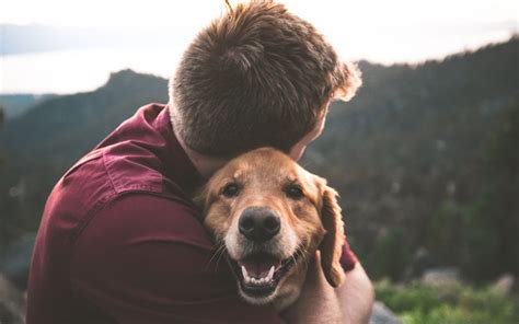 Life Lessons from a Furry Friend: How a Canine Companion Altered His Perspective