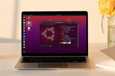 Linux Distributions for Developers and Programmers