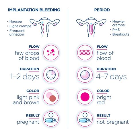Looking for Medical Advice: Identifying Concerning Signs of Vaginal Bleeding in Pregnancy