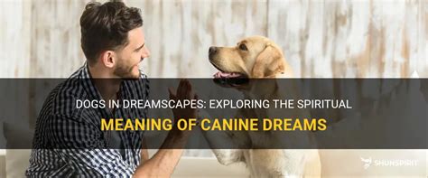 Loyal Companions: Delving into the Significance of Canine Symbolism within Dreamscapes