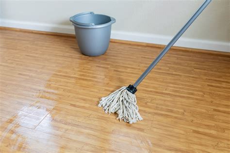 Maintaining Spotless Floors in the Long Run