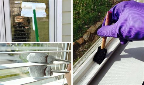 Maintenance and Cleaning Tips for a Bare Window in Home Decor