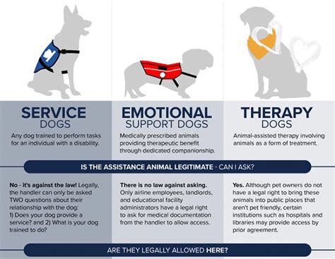 Making Dreams a Reality: Therapy Dogs