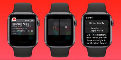 Managing Alerts on Your Apple Wrist Device