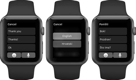 Managing Dictation Settings via the Apple Watch Application on iPhone