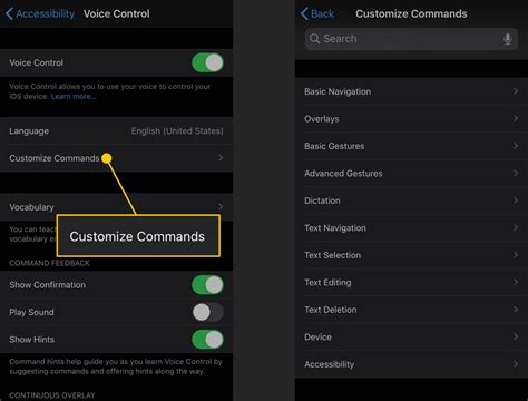 Managing Voice Control Settings