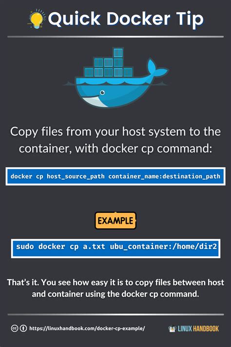 Mapping File Permissions between the Host and Docker Environment