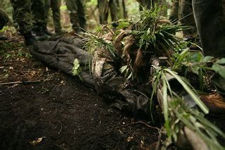 Master of Camouflage: Revealing the Stealthy Techniques of the Elusive Pike