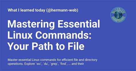 Mastering Essential Linux Commands for Efficient File and Directory Management