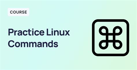 Mastering Key Linux Commands: A Must-Have Toolkit for Novices