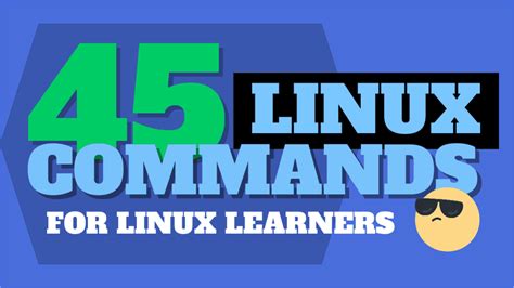 Mastering the Essential Linux Commands