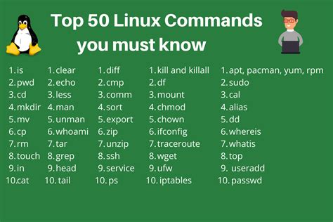 Mastering the Essential Linux Commands for Novice Users