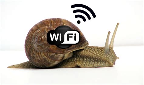 Minimizing Wi-Fi Slowdown: Tips and Tricks