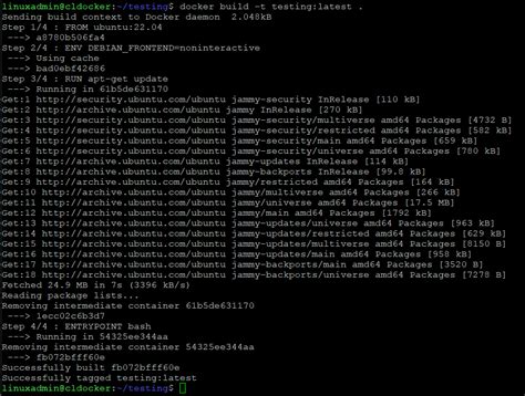 Misinterpreting the Syntax and Formatting of the Entrypoint Directives