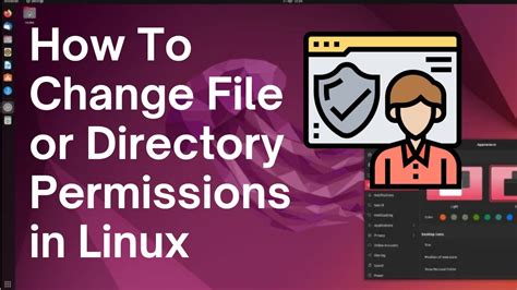 Modifying Permissions on Files and Directories in Linux: An Insightful Overview