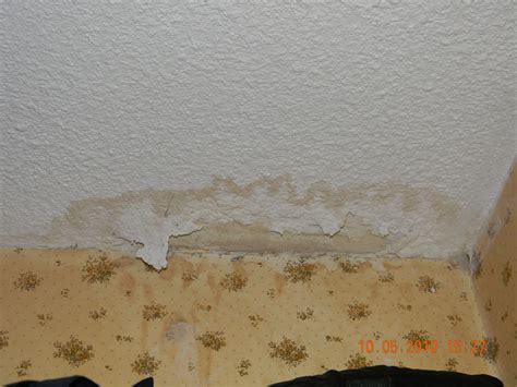 Moisture or Water Damage