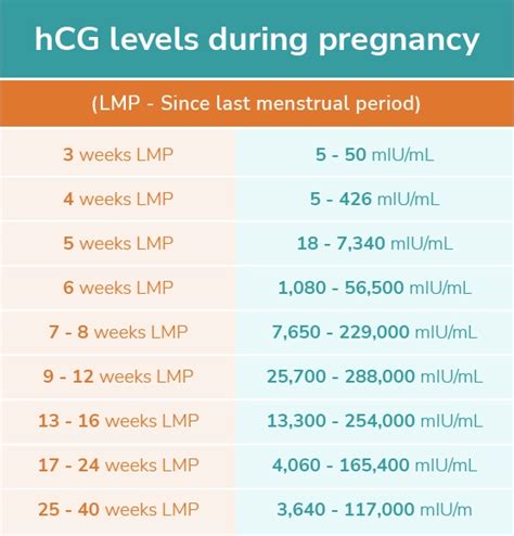 Monitoring hCG Levels: A Key to Ensuring a Healthy Pregnancy