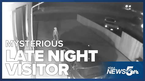 Mysterious Late-Night Guest Leaves a Memorable Impact
