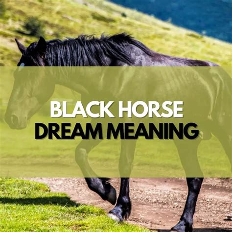 Mystical Revelations: How Dream Interpretation Unveils the Meaning of a Black Horse for Married Women
