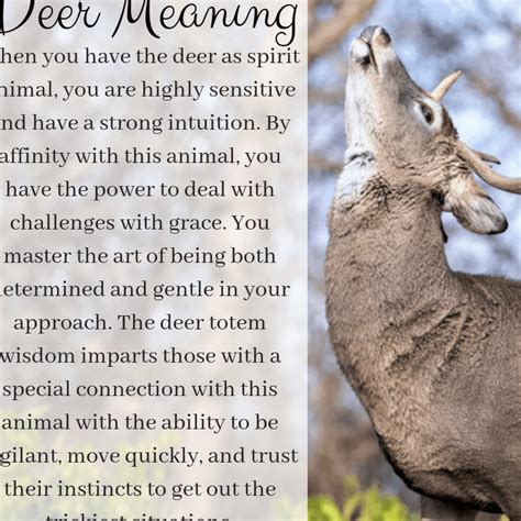 Mystical Significance of Deer in Various Cultures and Beliefs