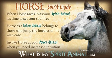 Mystical and Spiritual Interpretations: The Equine as an Emissary of the Divine