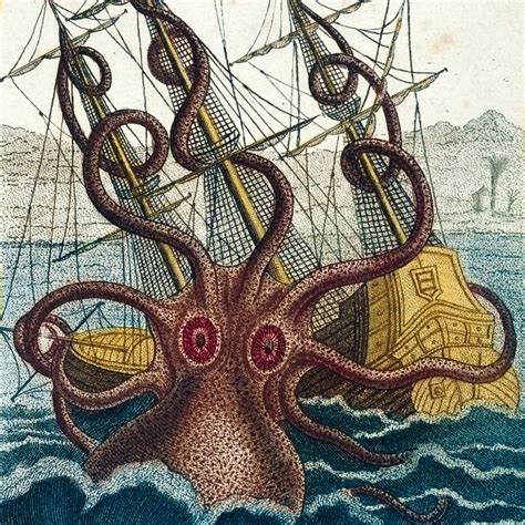 Myth or Reality: Tales and Encounters with the Enormous Cephalopod
