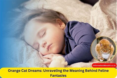 Navigating the Emotional Impact and Personal Reflection of Dreams Involving Feline Companions