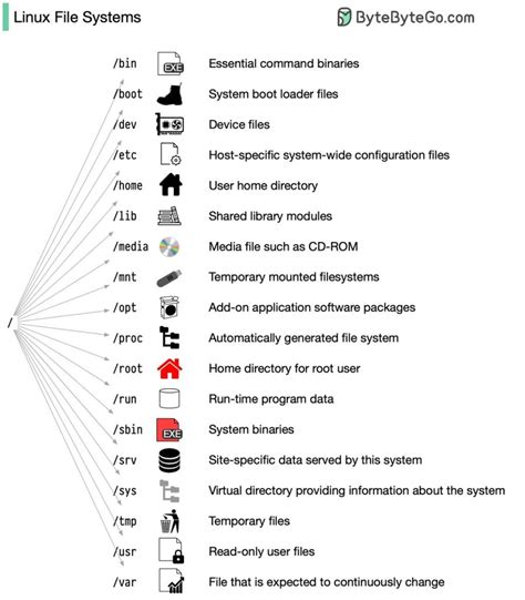 Navigating the Linux File System with Command Line