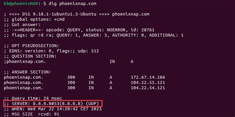 Navigating to the DNS configuration