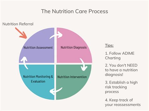 Nutrition and Care for Your Precious Companion