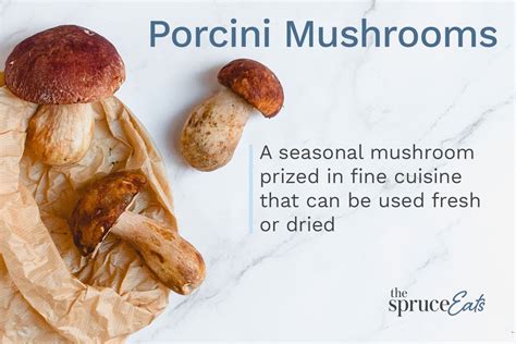 Nutritional Value of Porcini Mushrooms