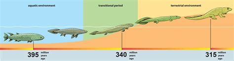 On the Move: Exploring the Evolution of Terrestrial Locomotion in Aquatic Creatures