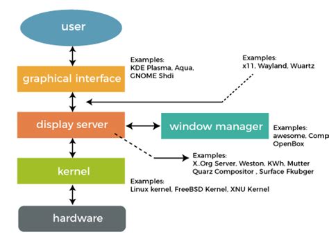 Operating System and User Interface