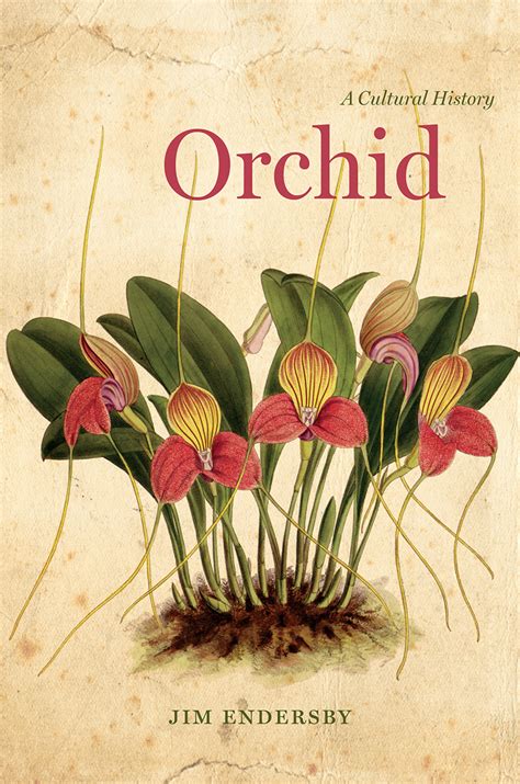 Orchids in History and Culture: A Rich Legacy