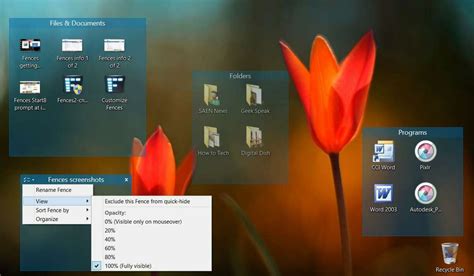 Organizing and Managing Desktop Shortcuts