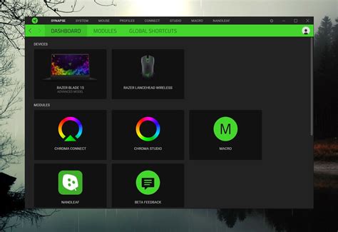 Outdated Razer Synapse Software Version