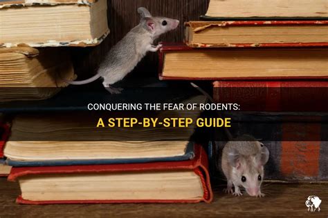 Overcoming Anxiety and Fears Associated with Rodent-Inspired Dreams