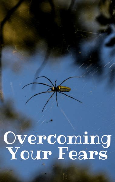 Overcoming Fears: Conquering Spider Dreams