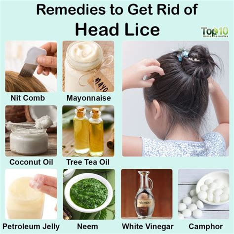 Overcoming Head Lice: Effective Strategies and Remedies