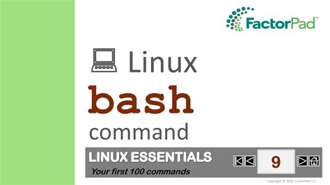 Overview of Bash