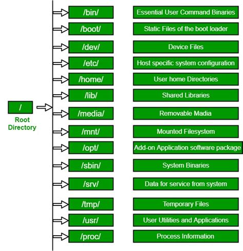 Overview of Linux as a Solution for Organizing Projects