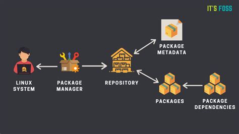 Package Management and Software Installation