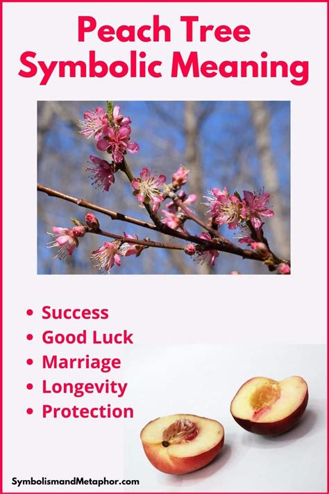 Peach tree imagery in different cultures and beliefs