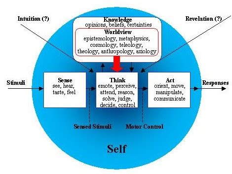 Perceptions and Perspectives: A Reflection of Worldview