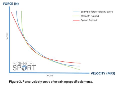 Performance: Discovering the Superiority in Speed and Power