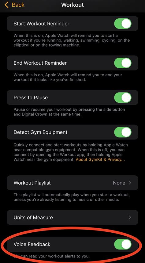 Personal accounts from Apple Watch users who have turned off voice feedback